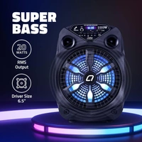 Artis BT101 20W Portable 5.0 Bluetooth Party Speaker with FM/USB/TF Card & Wired Mic (Black)