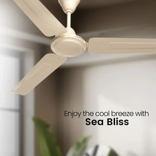 Crompton Sea Bliss 48-inch Ceiling Fan (Ivory) - Ivory