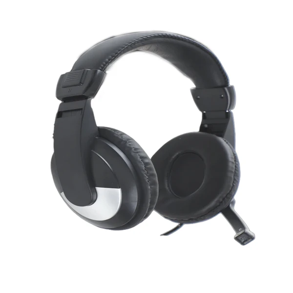 foxin FHM-DYNAMIC Multimedia Headphone with mic (Black)