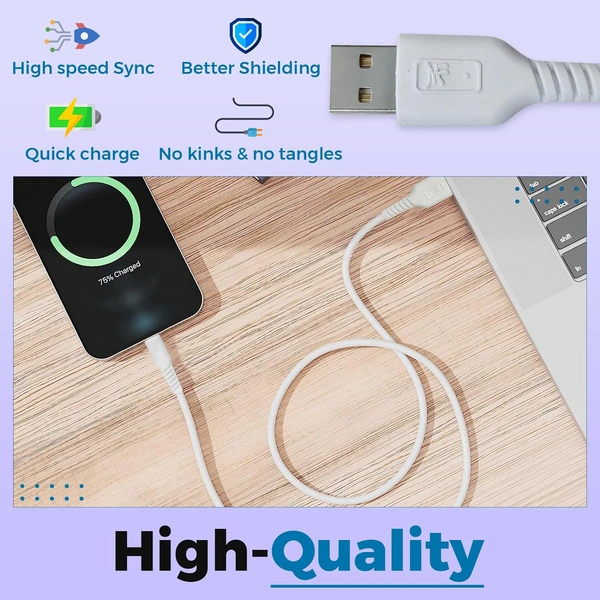 Perfect PF-003 Fast Charger | Dual Port Charger | 3.1A Type-C USB Cable | Travel Adapter (White)