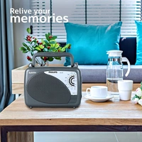 Philips Radio DL167/94 with MW/SW/FM Bands Bahadur (Grey)