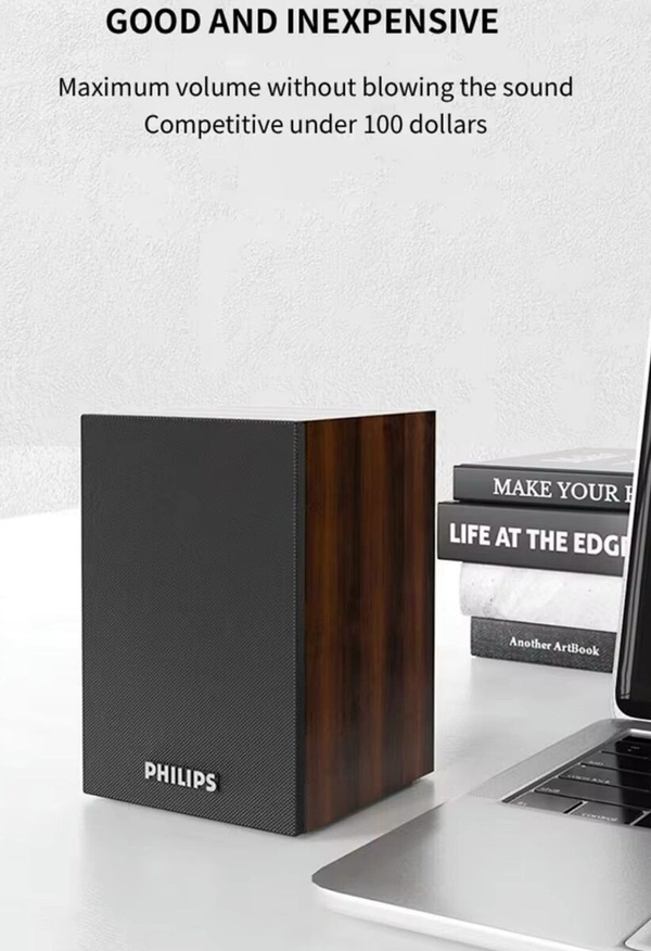 PHILIPS Philips Passive Speaker System 2.0 Normal Speaker (Black) - Black