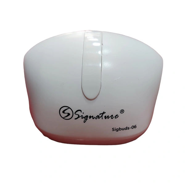 Signature Sigbuds-06 True Wireless earphone