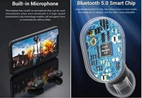 L21 EARPODS