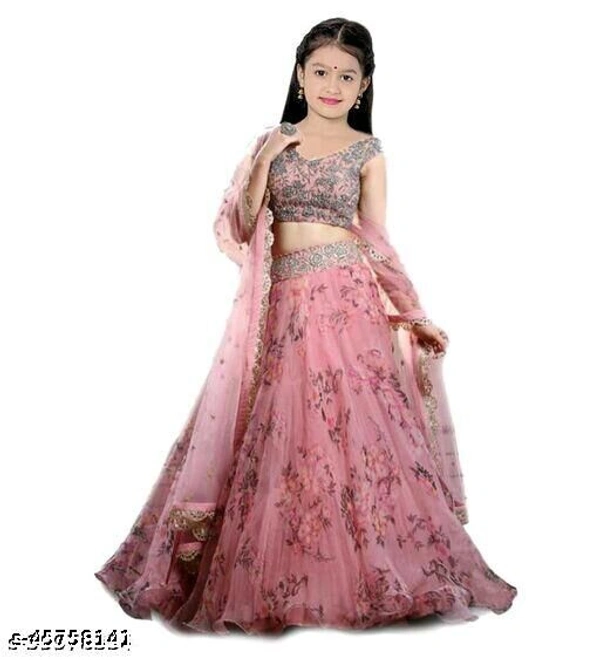 Lehenga Choli