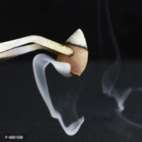 Combo pack of 2 backflow smoke incense holder with 20 incense sticks