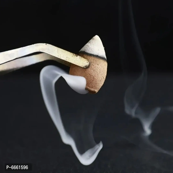 Combo pack of 2 backflow smoke incense holder with 20 incense sticks