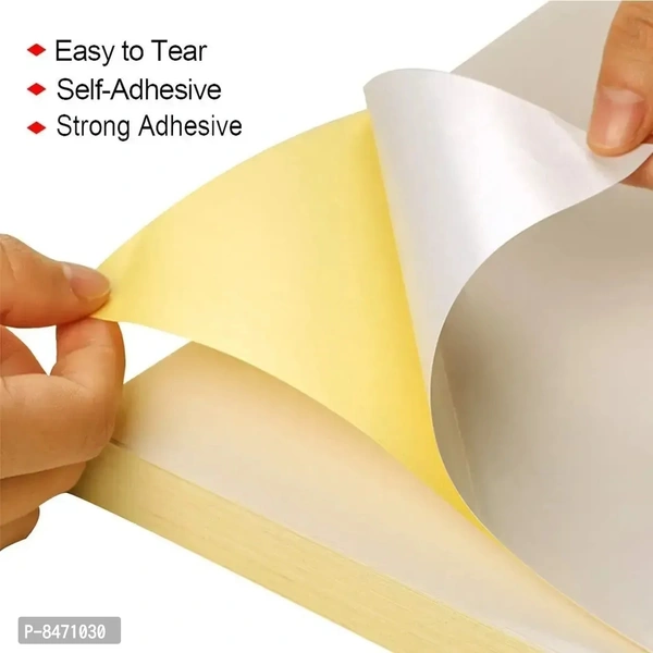 Designer Paper Poster Sticker Paper Print -Rolled