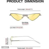Women Cateye Sunglasses (Sky Blue)