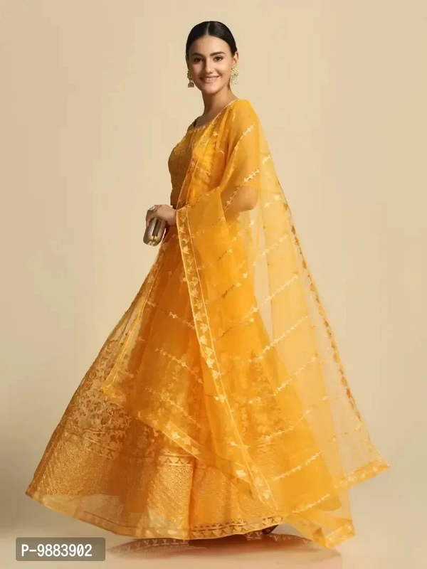 Women Net Semi Stitched Lehenga Choli