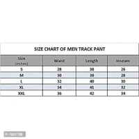 THE ARCHER Men's Cotton Regular Fit Track Pant - S