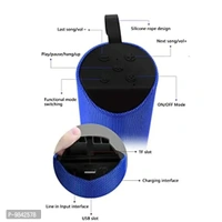 ACCRUMA TG113 Bluetooth Speaker