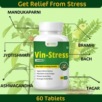 Vin-Stress Capsules – Ayurvedic Calm for Stress, Sleep & Mood Balance