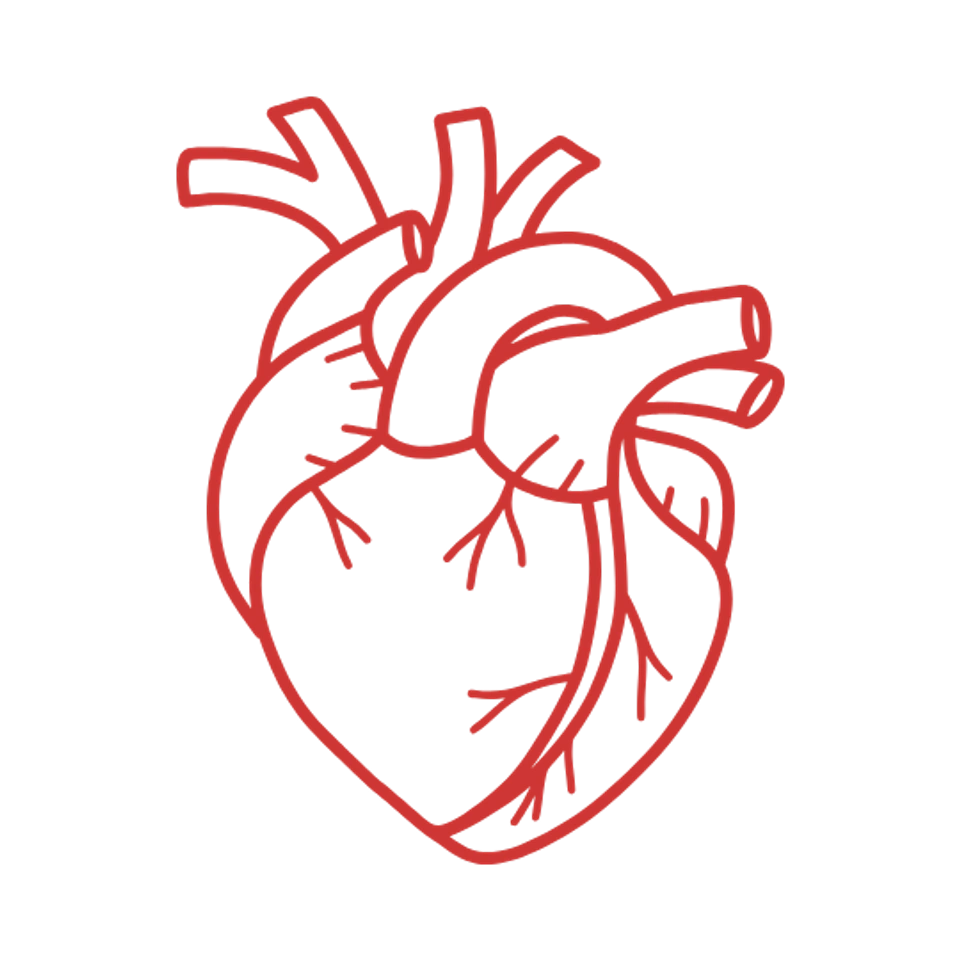 Heart