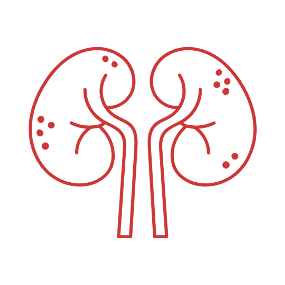 Kidneys