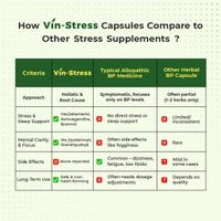 Vin-Stress Capsules – Ayurvedic Calm for Stress, Sleep & Mood Balance - 2 Bottles X 60 Capsules