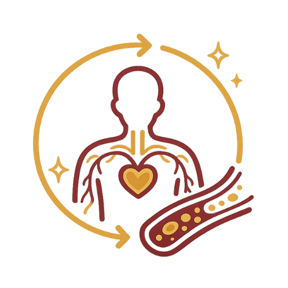 circulation-blood-flow