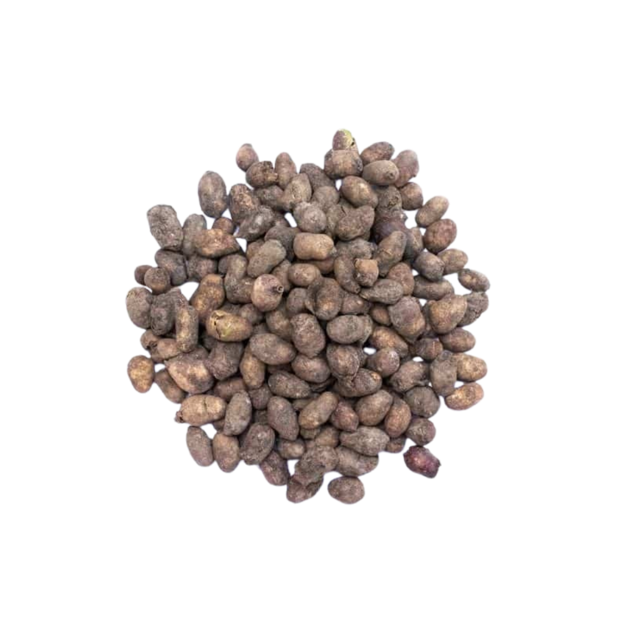 Jamun Beej