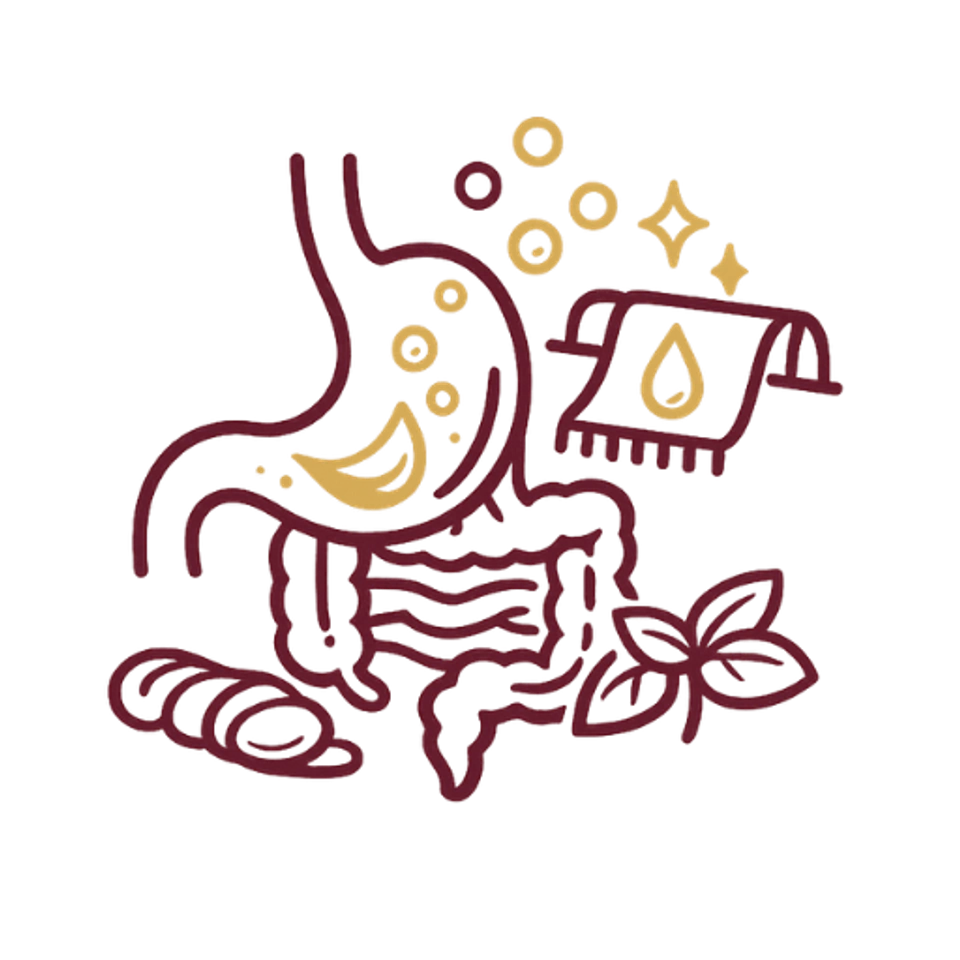 stomach-intestinal-tract