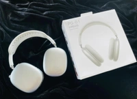 Apple Airpods Pro Max With Crown - Black