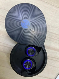 BOOM SHELL WIRELESS BUDS