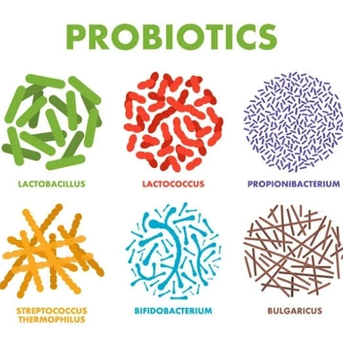 Pro Biotics