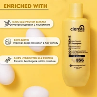 Clensta Eggstreme Hair Repair Shampoo With Egg Protein, Biotin & Hydrolyzed Silk Protein | Promotes Strengthening & Repair Damaged Hair | Sulfate & Paraben Free | For Men & Women - 250ml