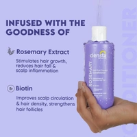 Clensta Rosemary Hair Fall Control Conditioner With Rosemary & Biotin For Reducing Hair Loss, Breakage & Daily Use | All Hair Types | Men & Women | Sulfate & Paraben Free - 250 ml