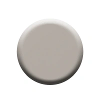ColorBar Colorbar Nail Lacquer Fidget