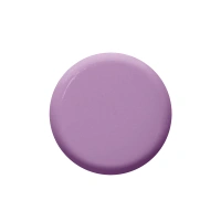 ColorBar Colorbar Nails Lacquers -Lilacism