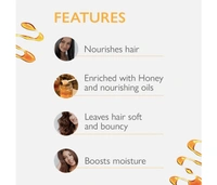 Godrej Professional Probio Honey Moisture Mask (200g)