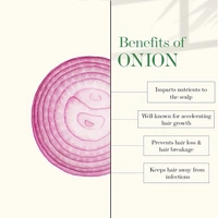 Good Vibes Onion Hair Fall Control Hair Mask 200Gm