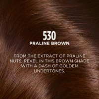 L'oreal Paris L'Oreal Paris Casting Creme Gloss Hair Color , 87.5g+72ml-Praline Brown 530