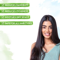 Mamaearth Tea Tree Shampoo for Dandruff Free Hair, 250ml