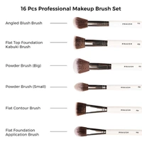 Praush Beauty Praush 16 Pcs Professional Makeup Brush Set For Face & Eyes With Makeup Pouch