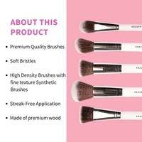 Praush Beauty Praush 5 Pcs Essentials Face Brush Set
