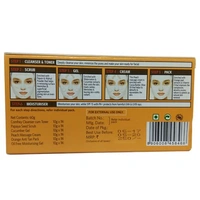 Vlcc Papaya Fruit Facial Kit, 60 gm
