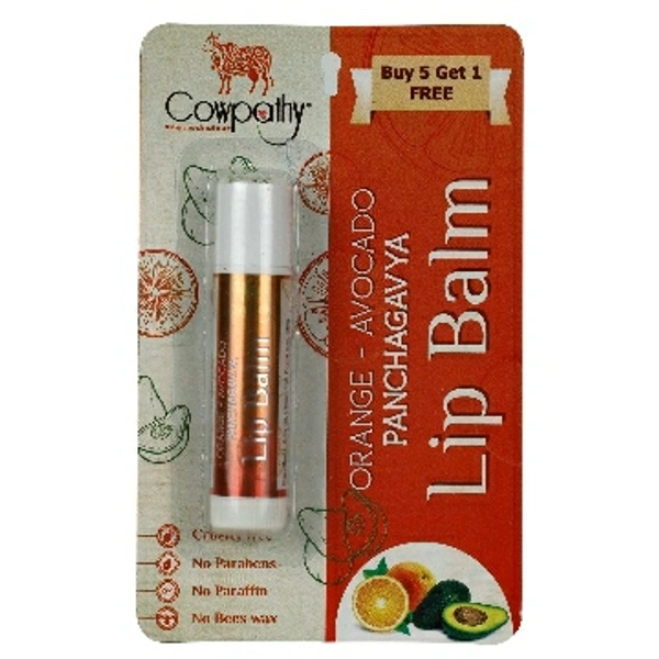 Panchgavya  Lip Balm Orange Avocado 