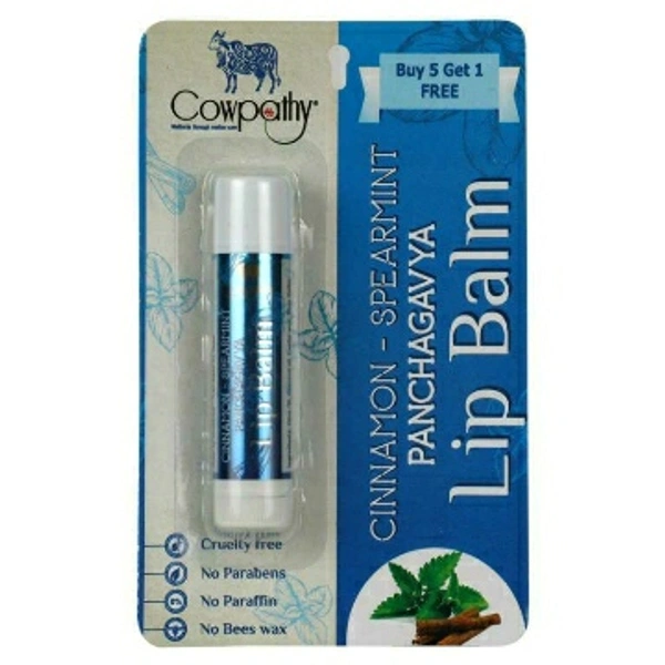 Panchgavya  Lip Balm Cinnamon Spearmint 