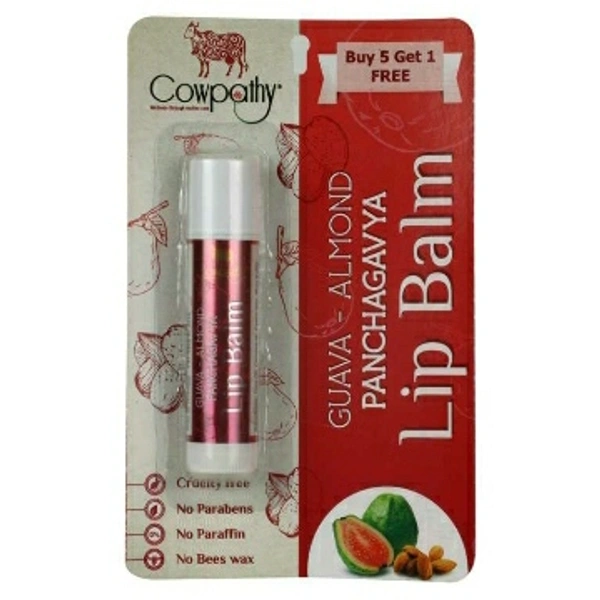 Panchgavya  Lip Balm Gauva Almond 