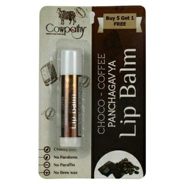 Panchgavya  Lip Balm Choco Coffee 