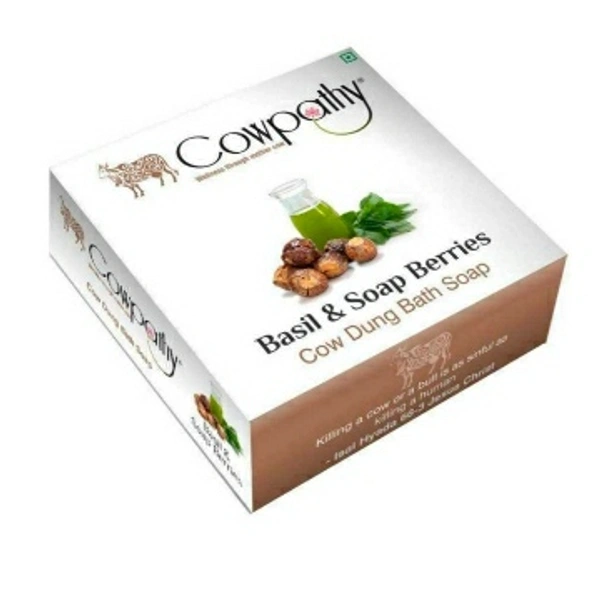 Panchgavya Bath Soap Basil & Soap Berries 