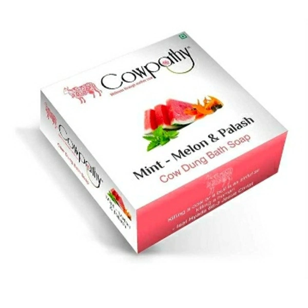 Panchgavya Bath Soap Mint Melon & Palash