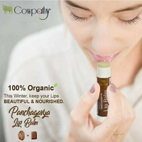 Panchgavya  Lip Balm Choco Coffee 
