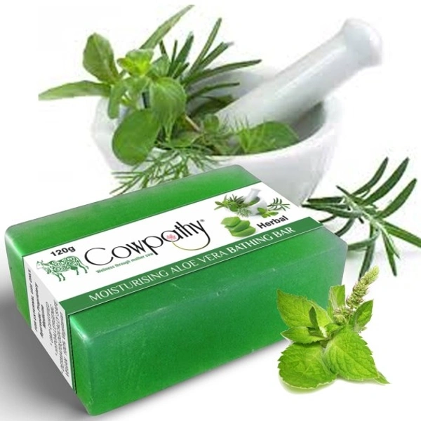 Panchgavya  Bath Soap Aloe Vera 