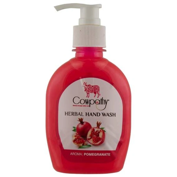 Panchgavya  Herbal Hand Wash Dispenser 250 ml
