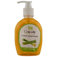Panchgavya  Herbal Hand Wash Dispenser 250 ml