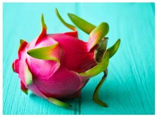 🔵 Dragon Fruit