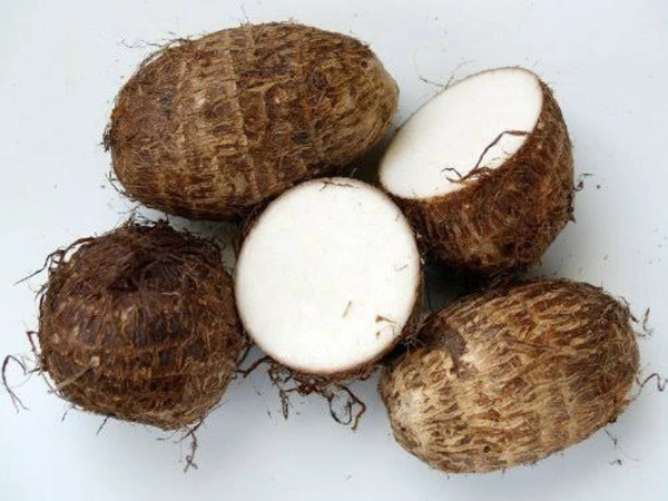 🟢 சேப்பங்கிழங்கு / Seepan Kilangu ~250g