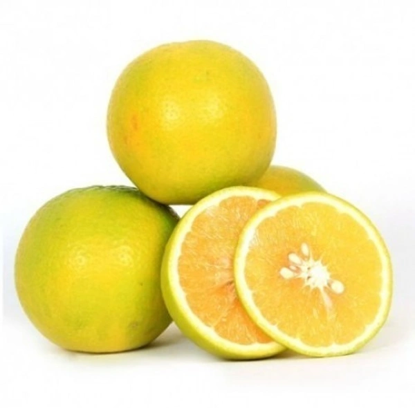 🟢 சாத்துக்குடி/mosambi ~500g